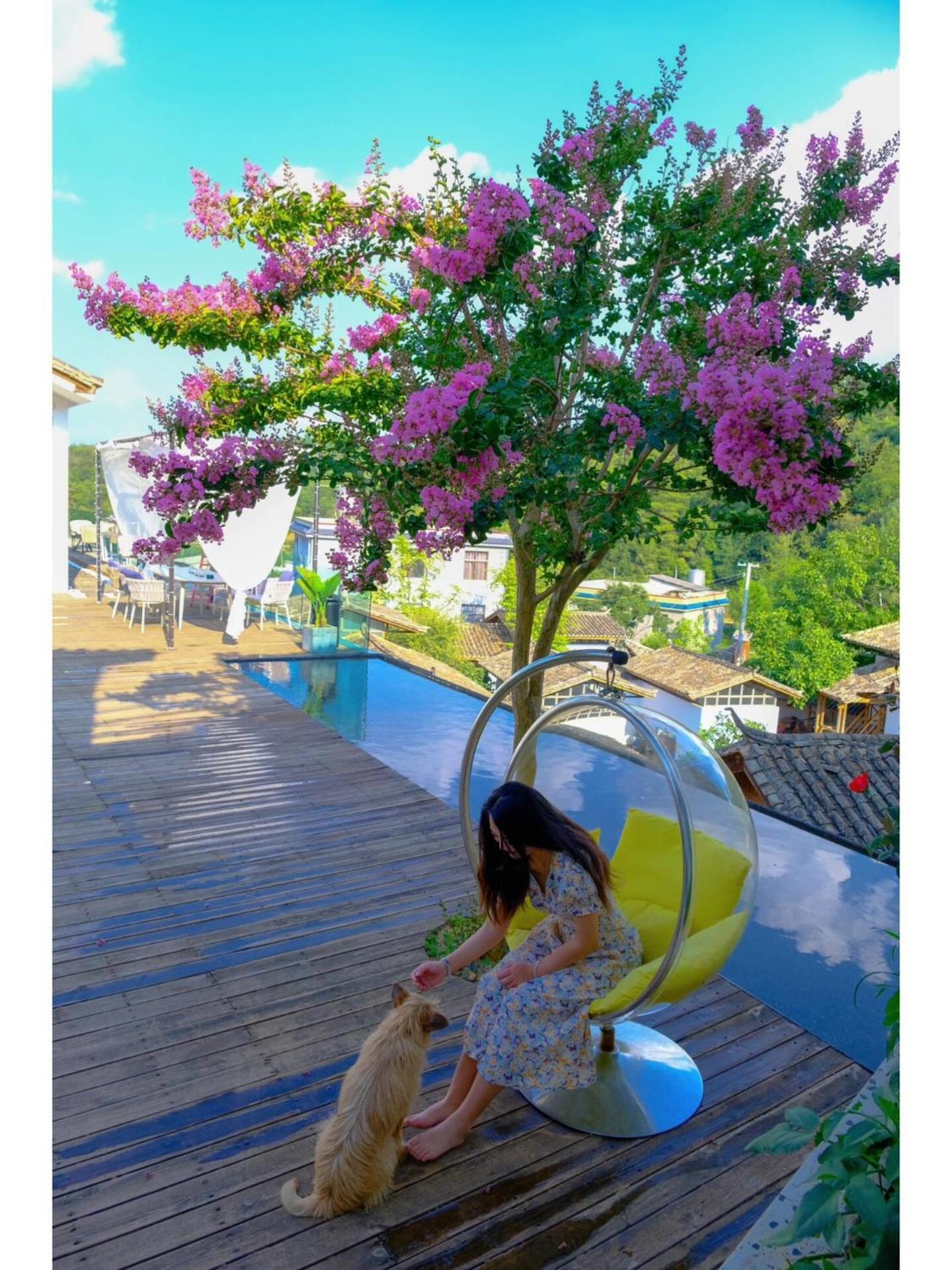 No Flowers Boutique Hostel 쿤밍 외부 사진